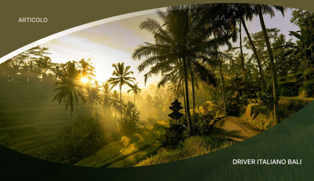 Driver-Che-Parla-Italiano-Bali