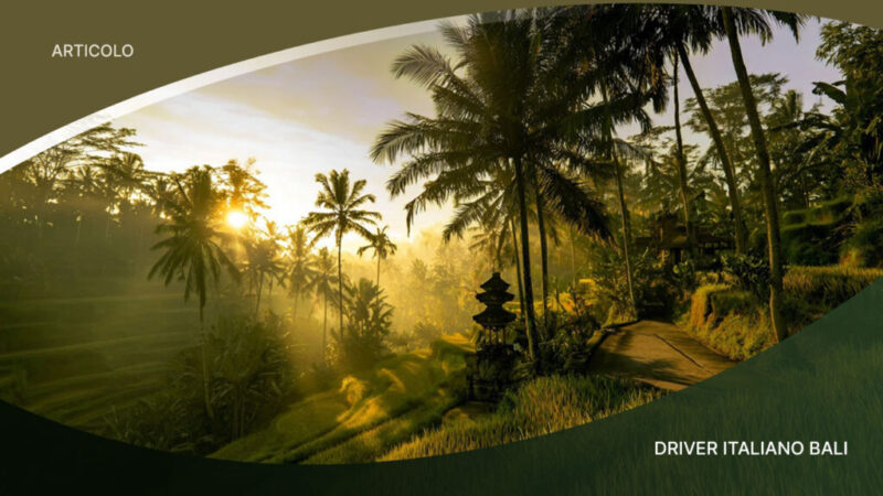 Driver-Che-Parla-Italiano-Bali